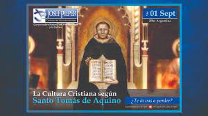 descarga – 2023-09-01T134801.138